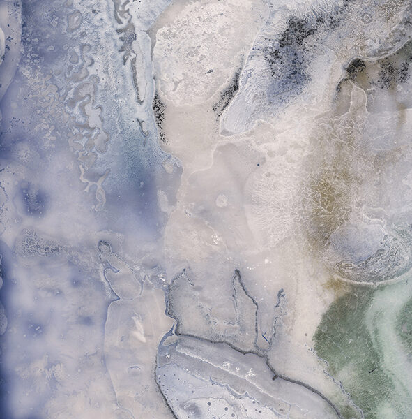 CG_TO- Blue Gem - 2021