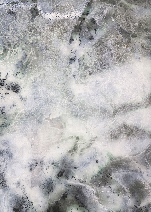 CG_TO-White Gem - 2021
