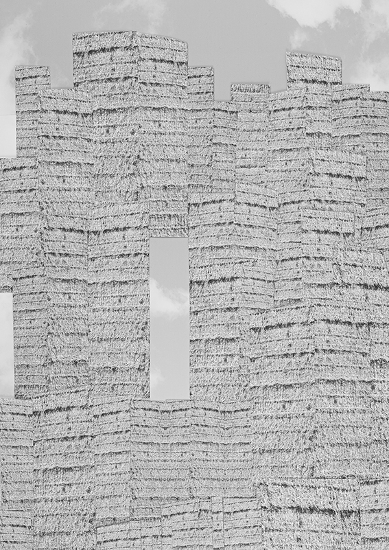 small_DSF0790_EG