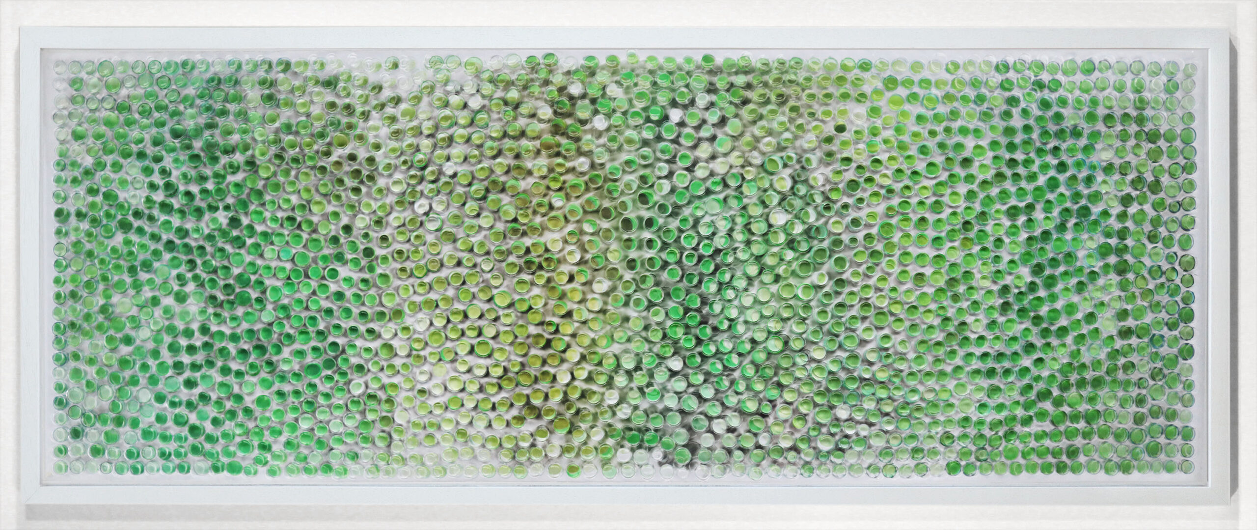 interfernzen 9-04 green