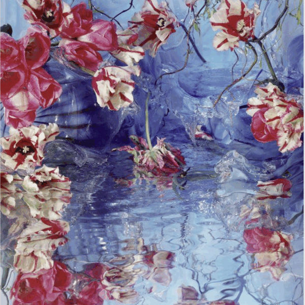 Dragonfly -2006 - 159 x 122 cm