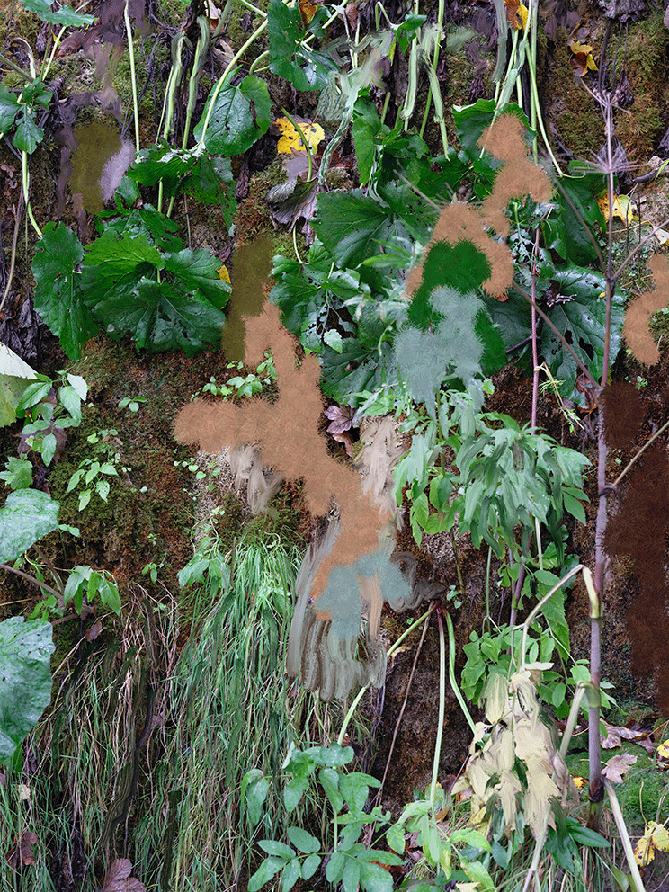 moss1